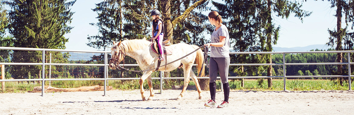 Šola jahanja - Horse Resort Stariha